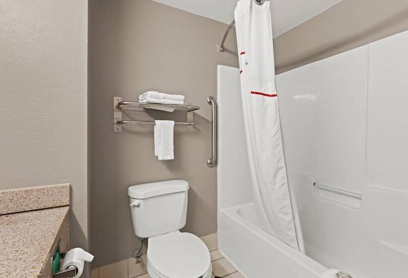 Номер Deluxe, Red Roof Inn & Suites Newnan