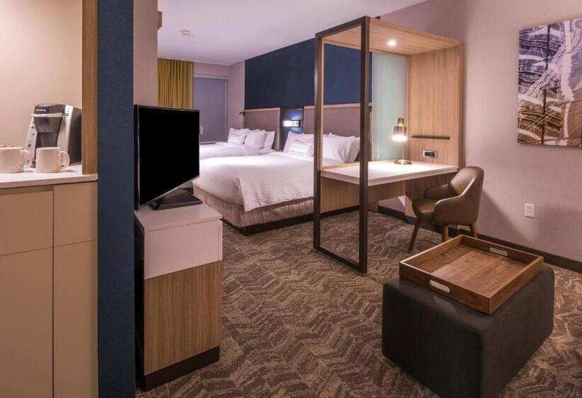Люкс, Springhill Suites By Marriott Wrentham Plainville