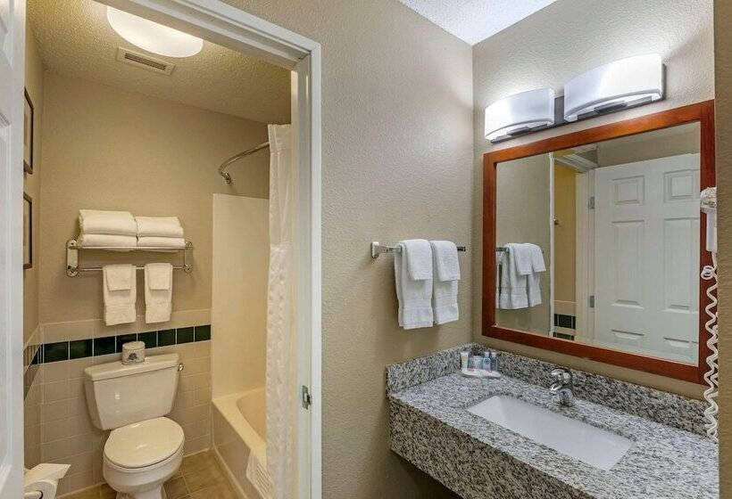스위트, Comfort Inn & Suites Jackson   West Bend