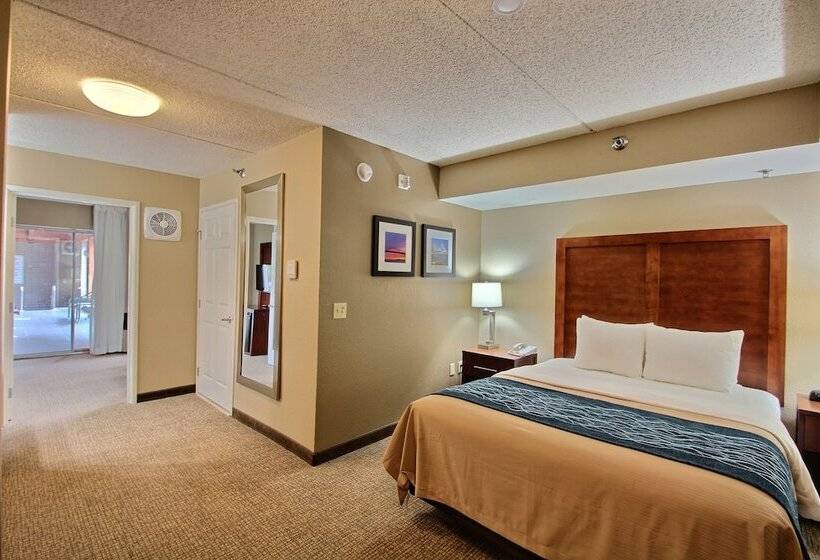 장애인을 위한 스위트, Comfort Inn & Suites Jackson   West Bend