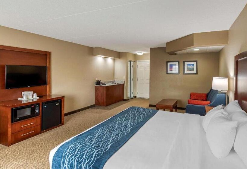 스위트, Comfort Inn & Suites Jackson   West Bend