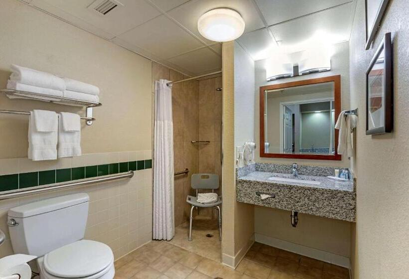 장애인을 위한 스탠다드 룸, Comfort Inn & Suites Jackson   West Bend