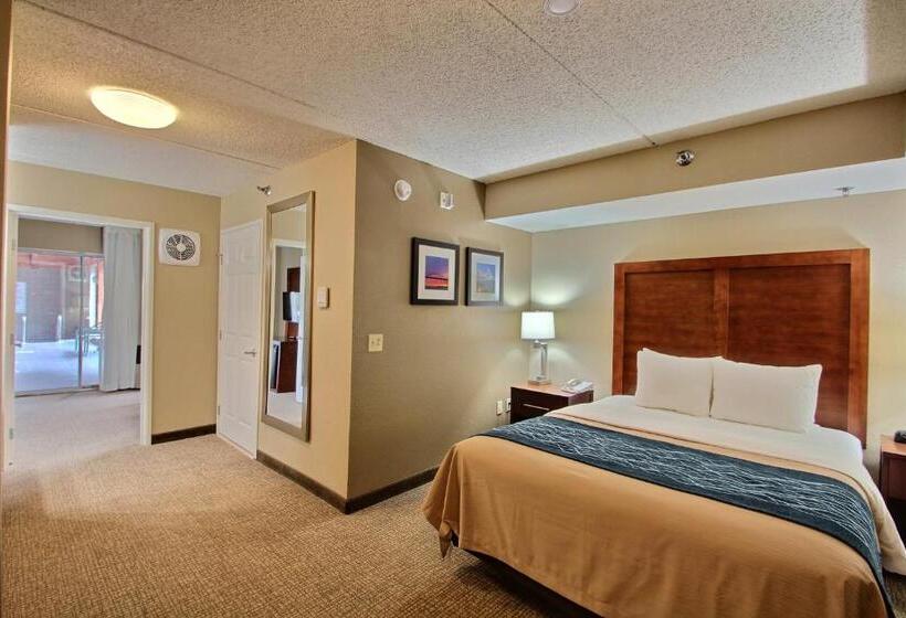 장애인을 위한 스위트, Comfort Inn & Suites Jackson   West Bend