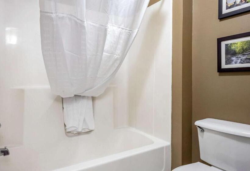 스탠다드 룸, Comfort Inn Meadowlands