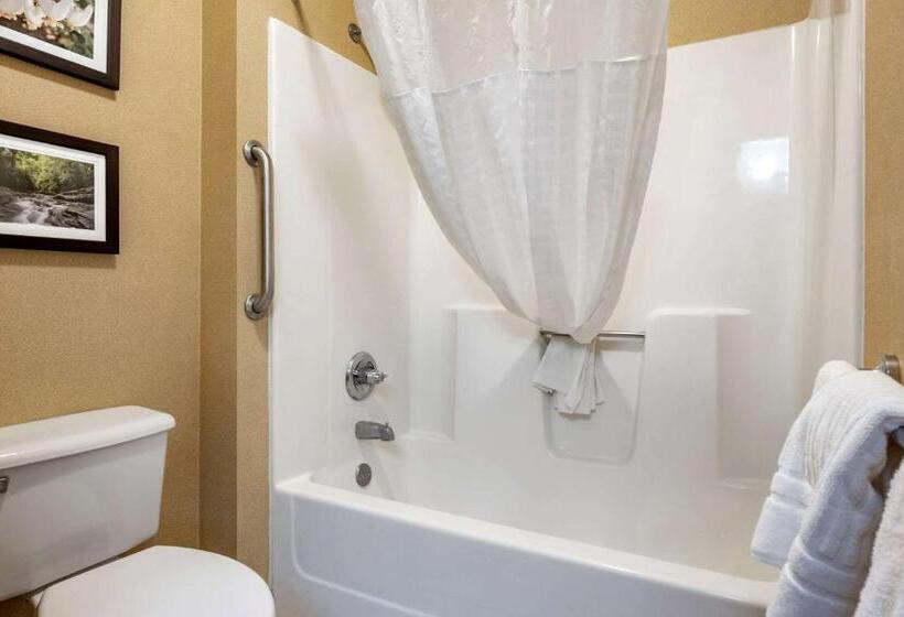 스탠다드 룸 킹사이즈 침대, Comfort Inn Meadowlands
