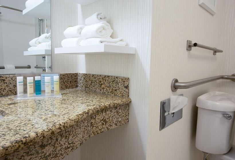 Номер Стандарт Адаптированный для Инвалидов, Hampton Inn St. Louis Southwest