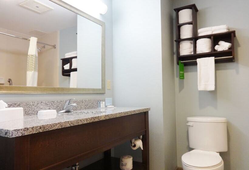 스위트, Hampton Inn & Suites Port St. Lucie, West