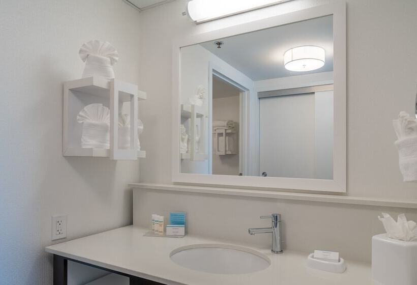 Люкс, Hampton Inn & Suites Valley Forge/oaks