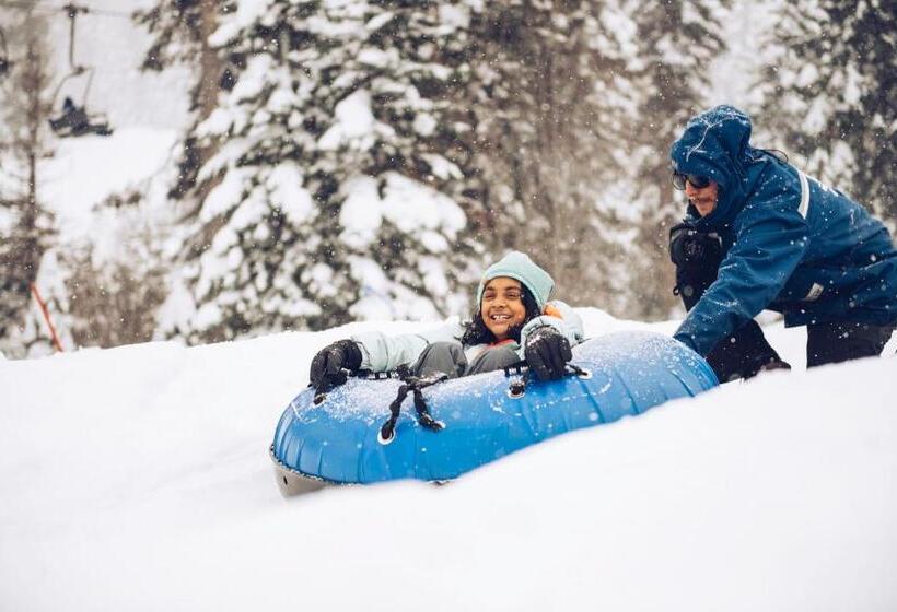 דירת שני חדרים, Ski Trails 4042