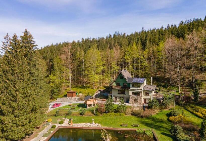 Номер Стандарт, Penzion Na Lomné