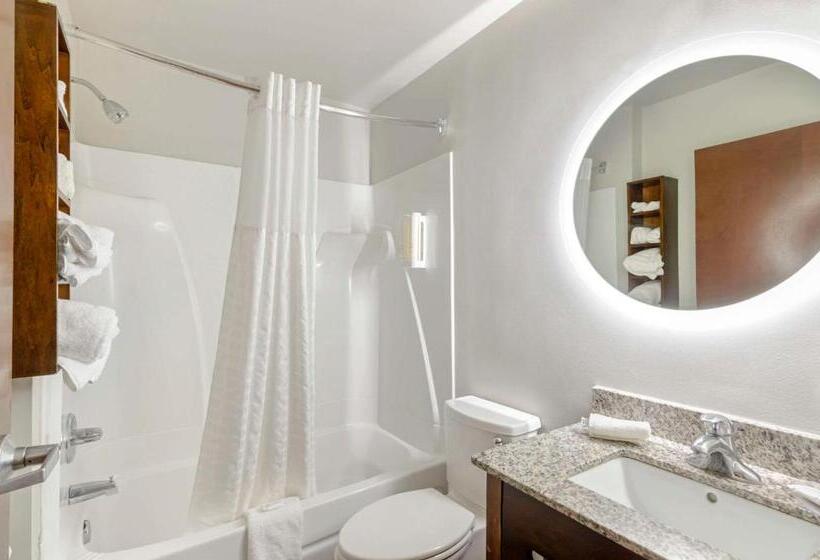 Стандартный Номер Кровать Кинг, Clarion Pointe Staunton East