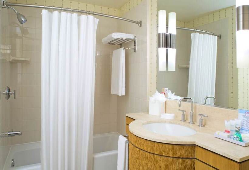 Lakosztály, Four Points By Sheraton San Jose Downtown