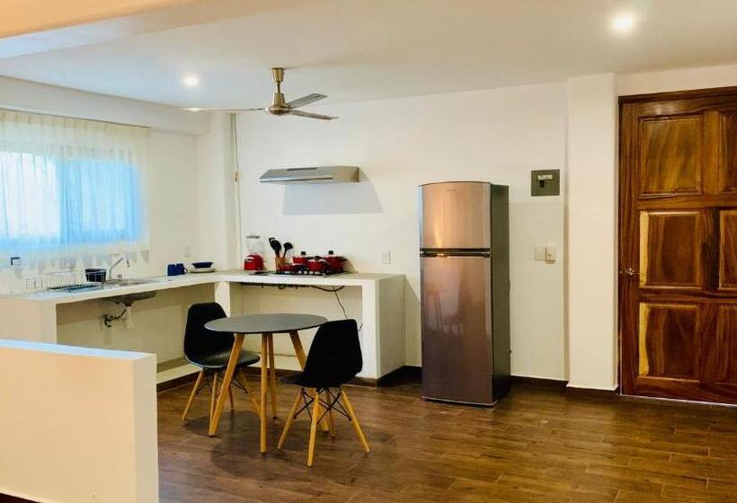 استودیوی استاندارد, Casa Beu