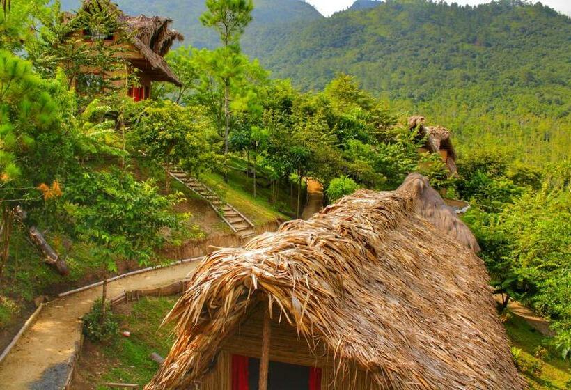 تختخواب در اتاق مشترک, Vista Verde Lodge
