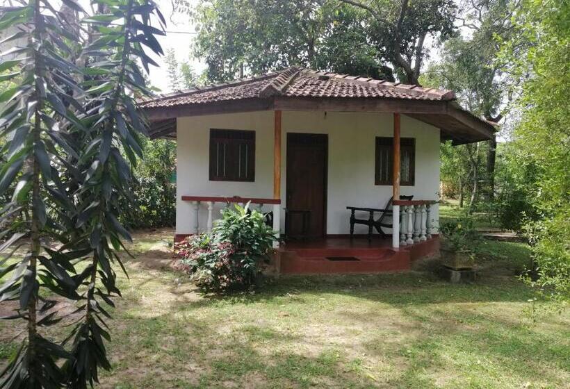 اتاق استاندارد, Calm Garden Cabanas