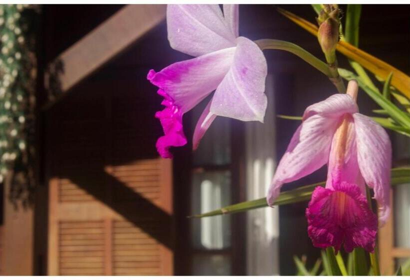 带园景的小型套房, Kitnet E Suite Morada Aguiar   Chalé