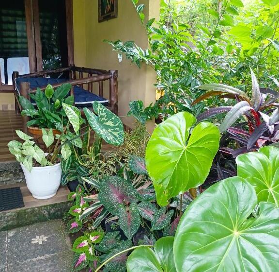 Трехместный Номер Deluxe, Amartya Puri Green Cottages