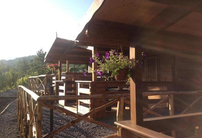 デラックスバンガロー, B&b Lao