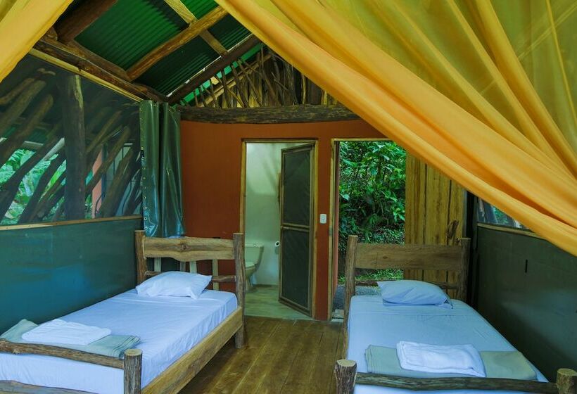 Basic Tent, La Tigra Rainforest Lodge