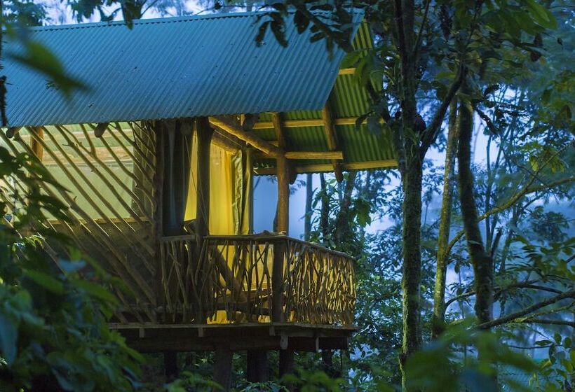 Basic Tent, La Tigra Rainforest Lodge