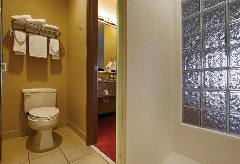 Люкс, Best Western Plus Tulsa Woodland Hills Hotel And Suites