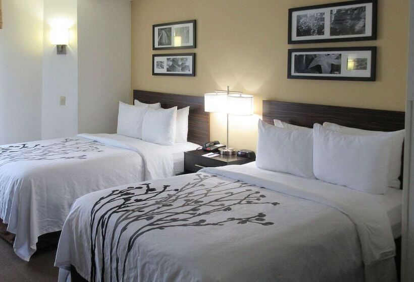 Номер Стандарт 2 Двуспальные Кровати, Sleep Inn