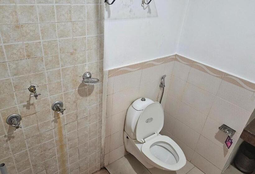 Номер Стандарт, Piggy Hostel Calangute