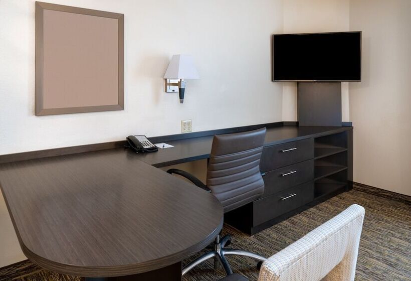 스탠다드 스튜디오, Candlewood Suites Washington Dulles Herndon, An Ihg