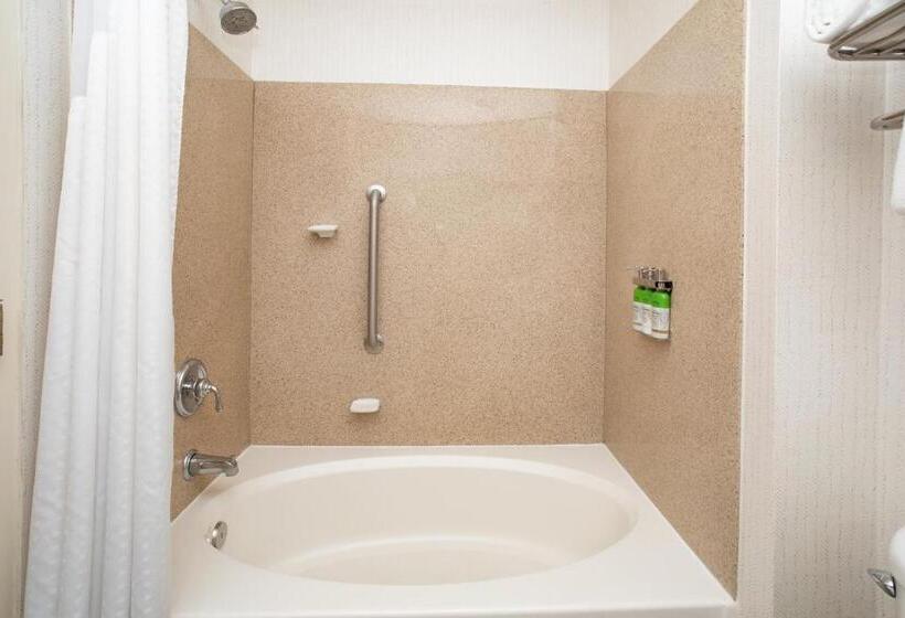 스탠다드 룸 킹사이즈 침대, Holiday Inn & Suites Goodyear   West Phoenix Area, An Ihg