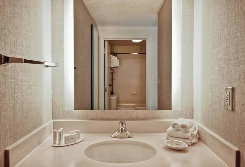 스탠다드 룸, Springhill Suites By Marriott Baltimore Bwi Airport