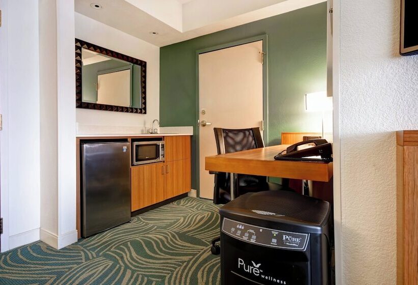 스탠다드 룸, Springhill Suites By Marriott Baltimore Bwi Airport
