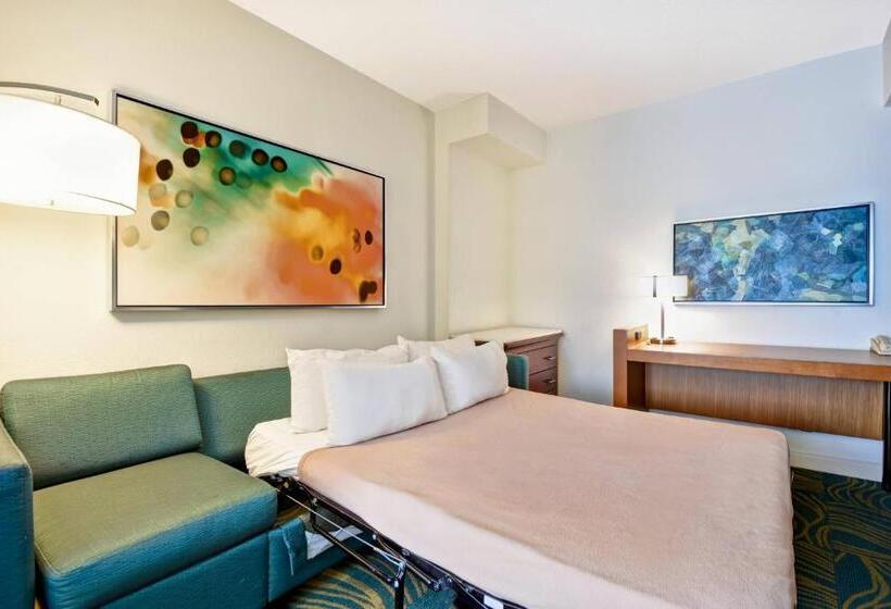 스탠다드 스튜디오 킹침대, Springhill Suites By Marriott Baltimore Bwi Airport