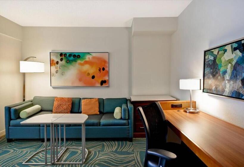 스탠다드 스튜디오 킹침대, Springhill Suites By Marriott Baltimore Bwi Airport