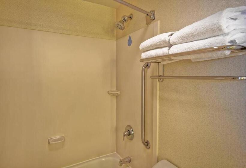 스탠다드 룸 킹사이즈 침대, Springhill Suites By Marriott Baltimore Bwi Airport