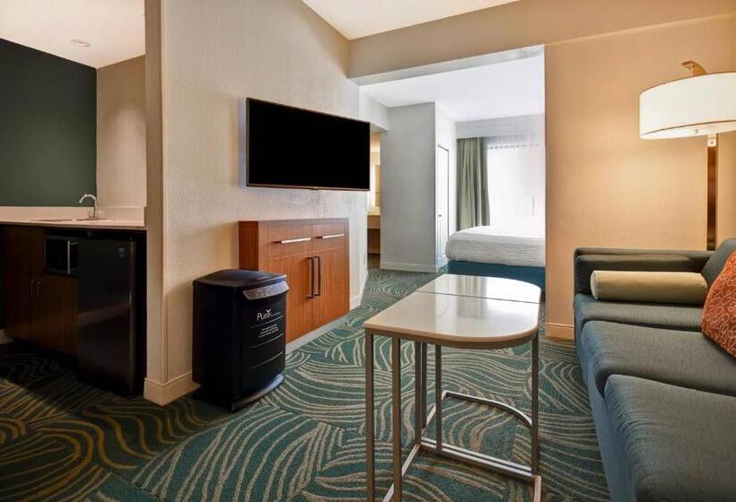 스탠다드 룸 킹사이즈 침대, Springhill Suites By Marriott Baltimore Bwi Airport