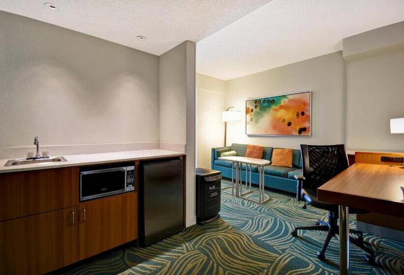 스탠다드 룸, Springhill Suites By Marriott Baltimore Bwi Airport