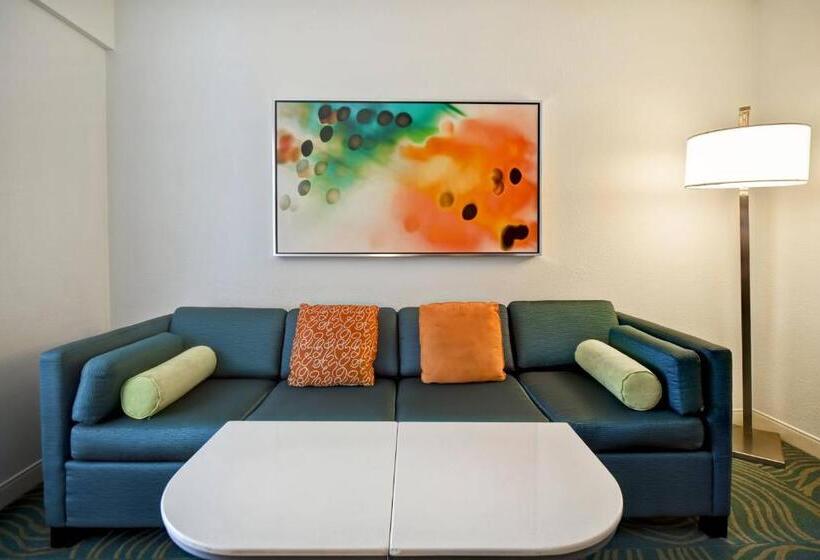 스탠다드 룸, Springhill Suites By Marriott Baltimore Bwi Airport