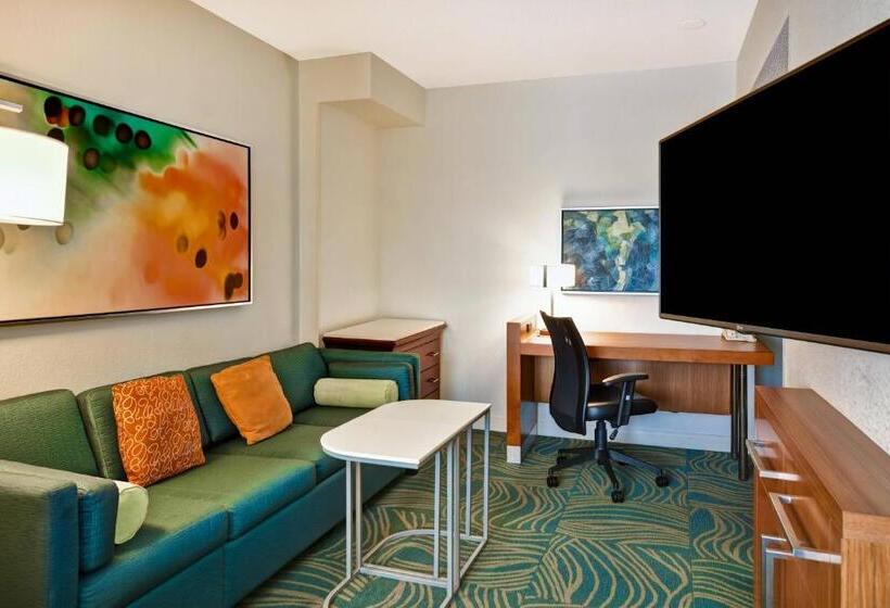 스탠다드 스튜디오, Springhill Suites By Marriott Baltimore Bwi Airport