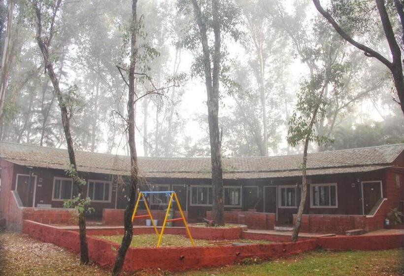 Номер Стандарт, The Jungle Resort Amba
