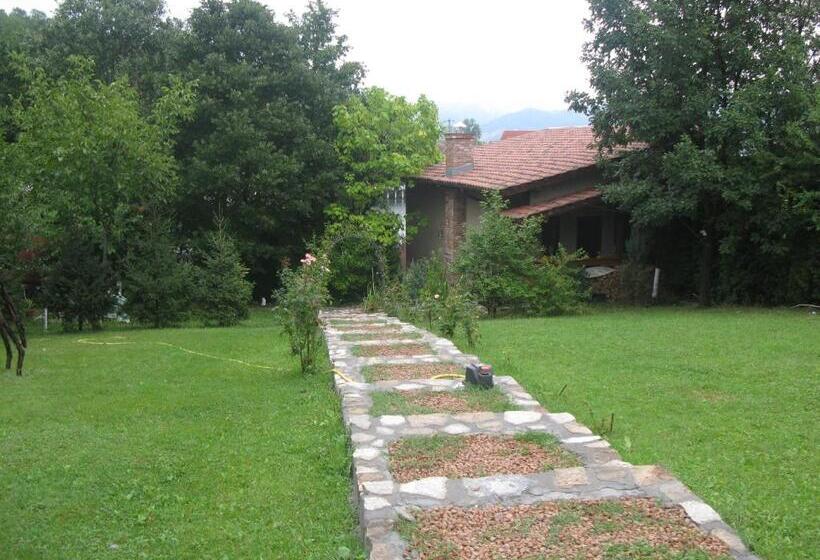 اتاق استاندارد, Alegria