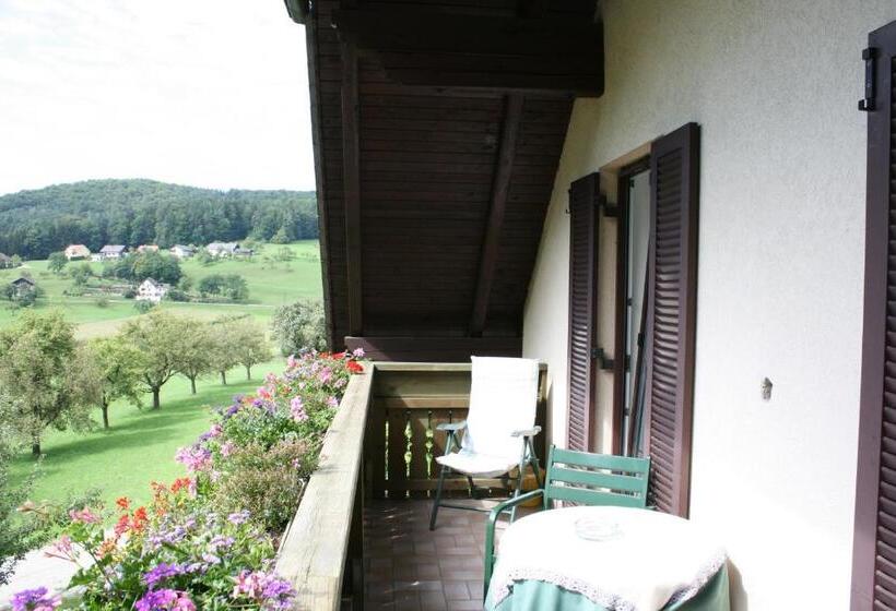 Номер Superior с Балконом, Gasthaus   Gästehaus Schusterbauer
