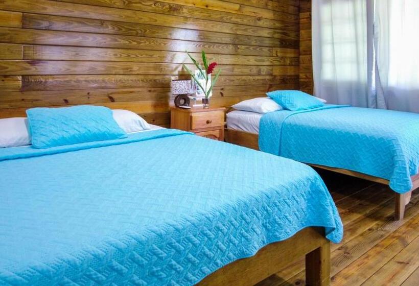 Четырехместный Номер Стандарт, Hospedaje Yarisnori