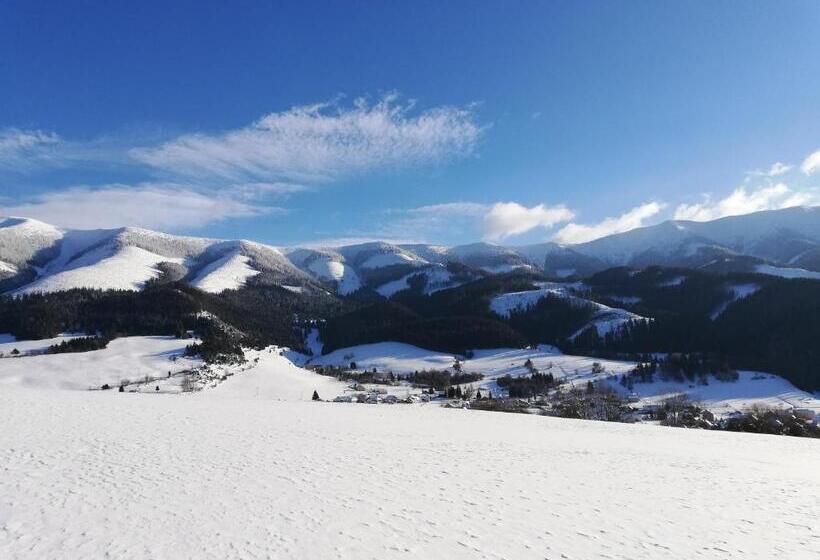Семейный Номер, Penzión Baltazár