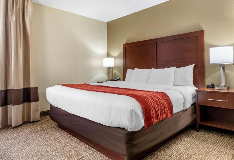 Люкс Кровать Кинг, Comfort Inn & Suites Cincinnati Eastgate