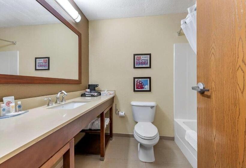 Стандартный Номер Кровать Кинг, Comfort Inn & Suites Cincinnati Eastgate
