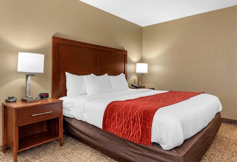 Номер Стандарт Кровать Кинг Адаптированный для Инвалидов, Comfort Inn & Suites Cincinnati Eastgate