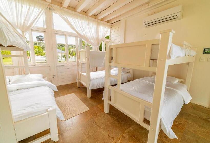Семейный Номер, Quinta Del Mar Tintipán
