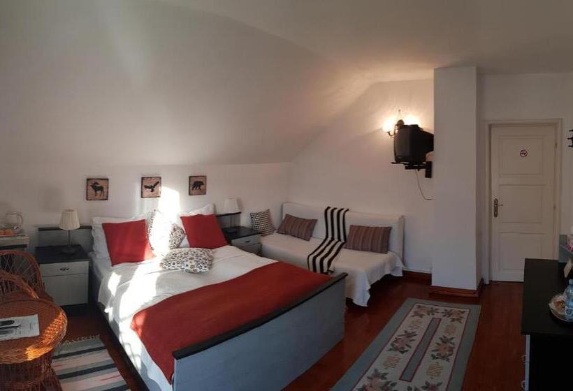 اتاق استاندارد, Casa Vanatorului
