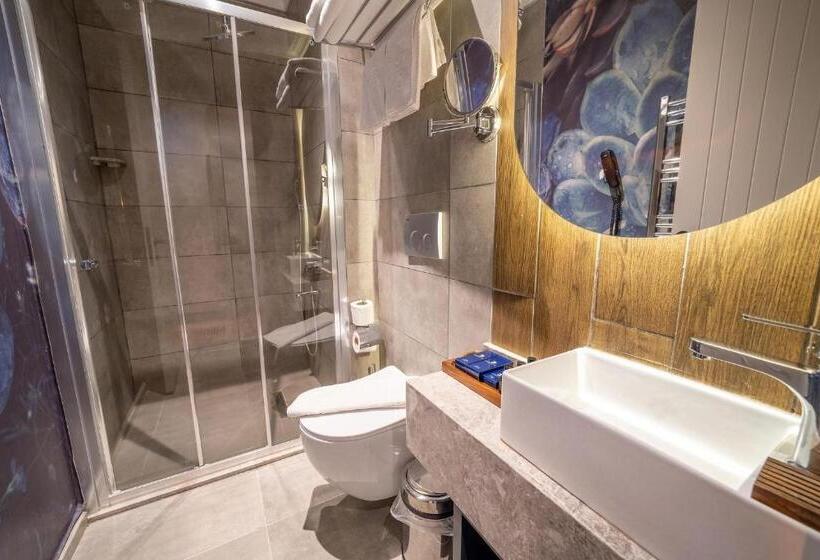 اتاق اکونومی, Oksijen Zone Hotel & Spa