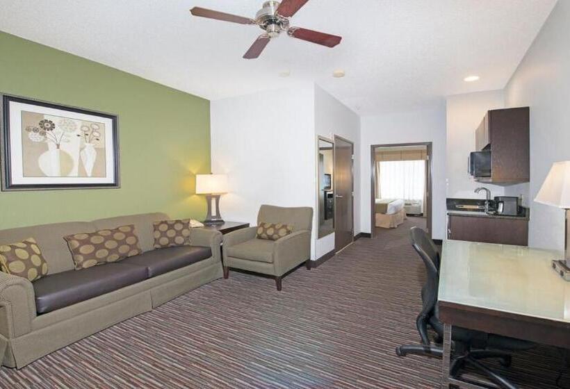 Стандартный Номер Кровать Кинг, Holiday Inn Express & Suites Chicago Deerfield Lincolnshire, An Ihg